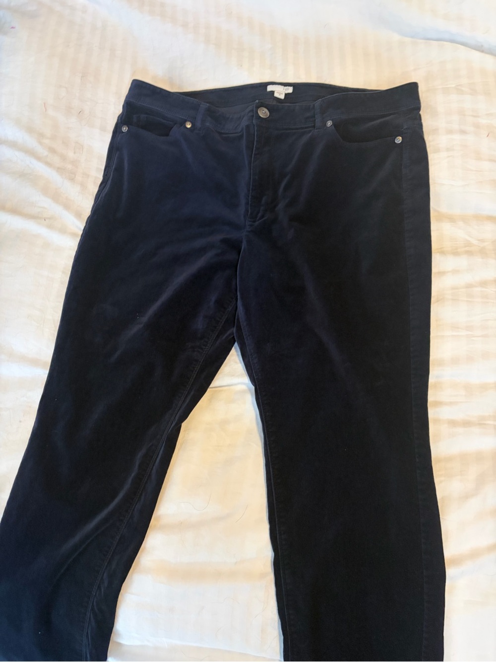 J. Jill Straight-Leg Velvet Pants in Deep Navy